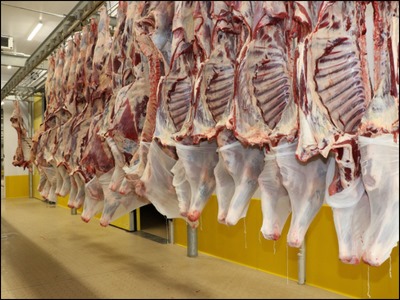 Hijyenik Ortamda Kurban Kesimi